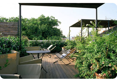 Amnagement terrasse et balcon  Paris